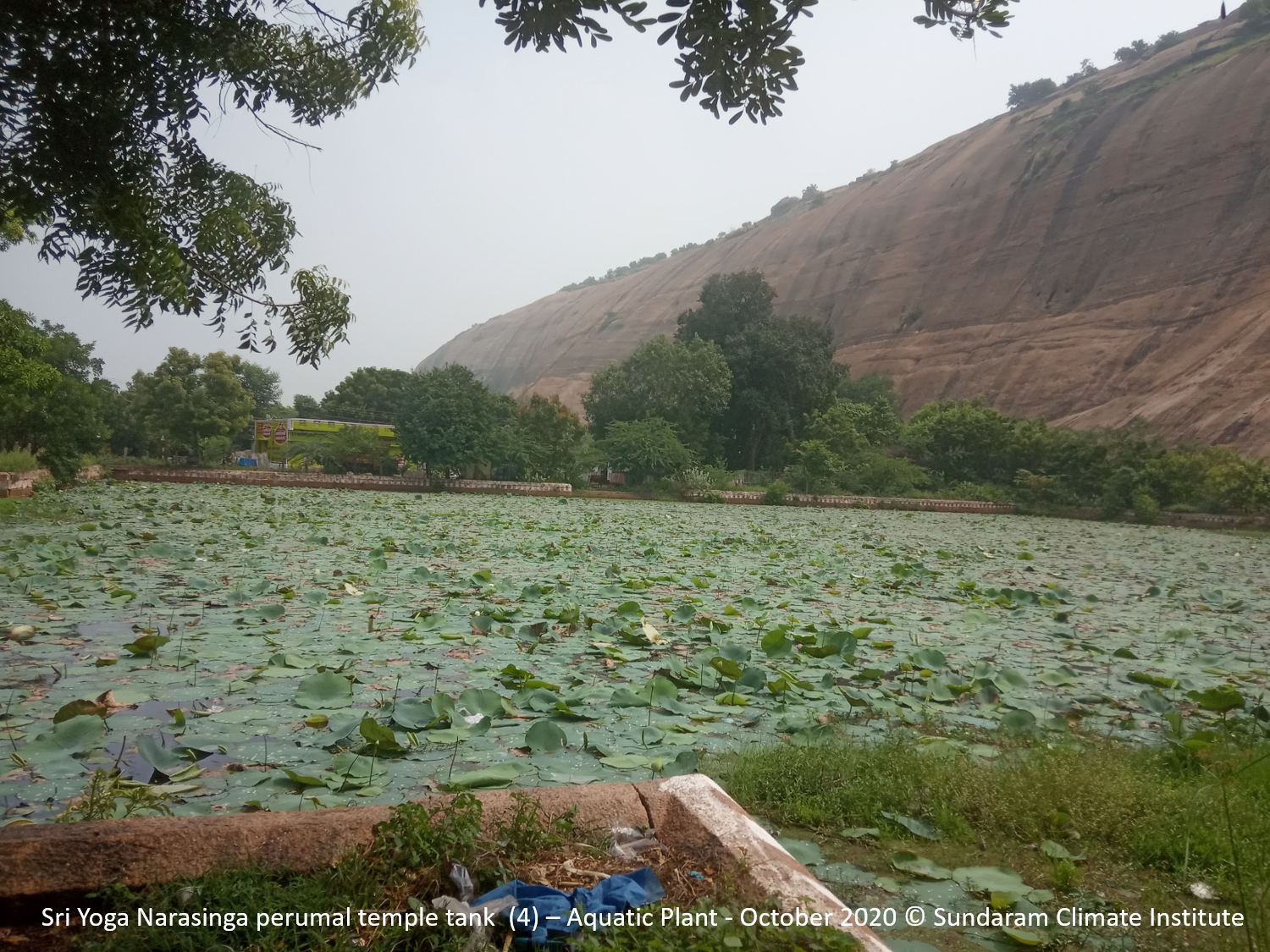 CIC Event Mridula Ramesh